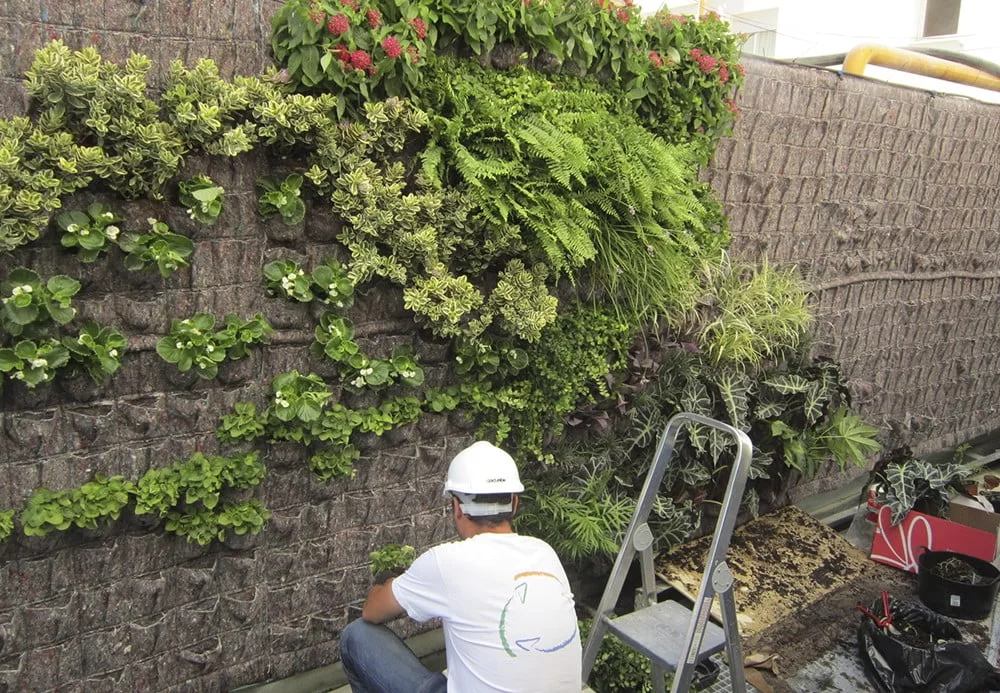 Jardines Verticales