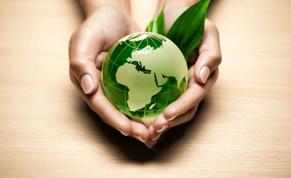 consultoria ambiental empresa