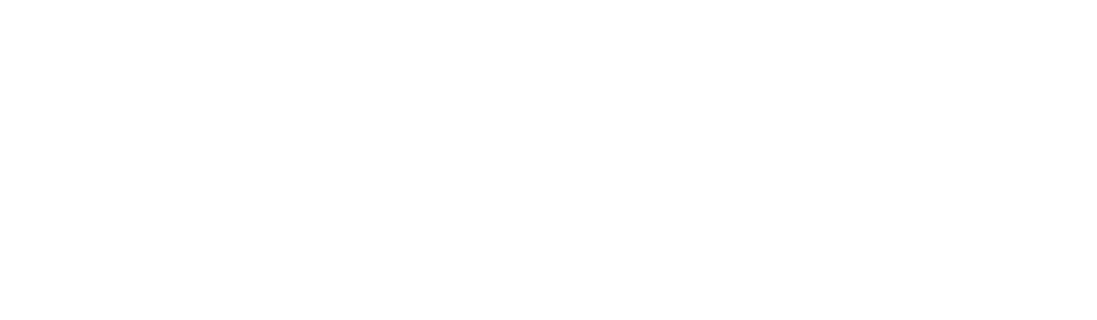 Logo-ecema-blaco final