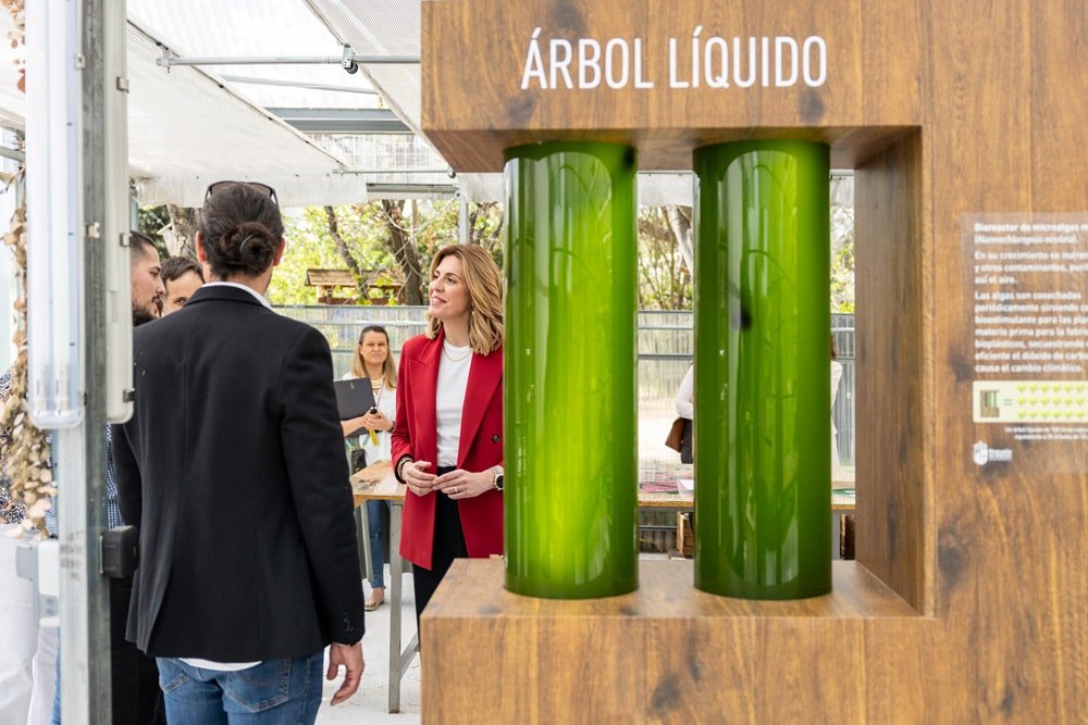 arbol liquido